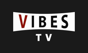 LOGO_FOND_VIBESTV